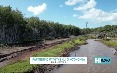 Par Hawaii partners with Hui O Ho‘ohonua